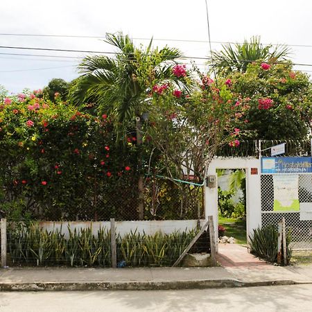 Hostal Del Mar - Tolú エクステリア 写真